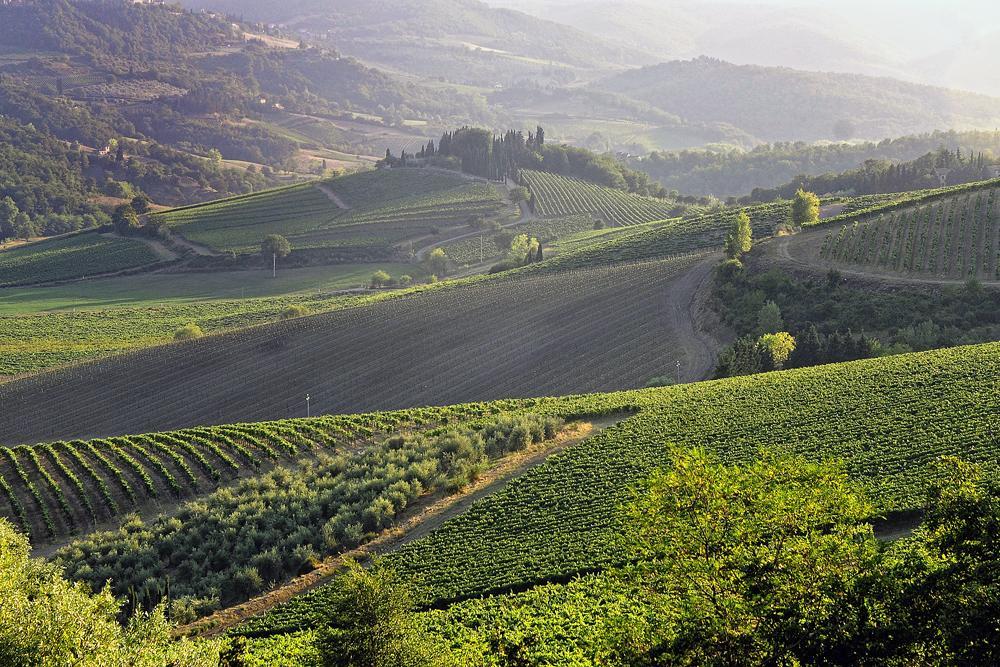 ラッダ・イン・キアンティ Fattoria Poggerino Bed & Breakfast 部屋 写真